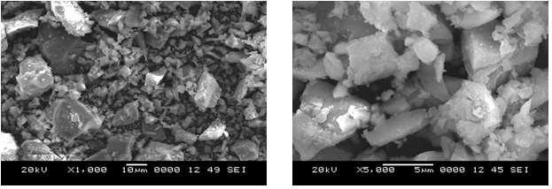 Figure 1: SEM Microphotographs of cement under different