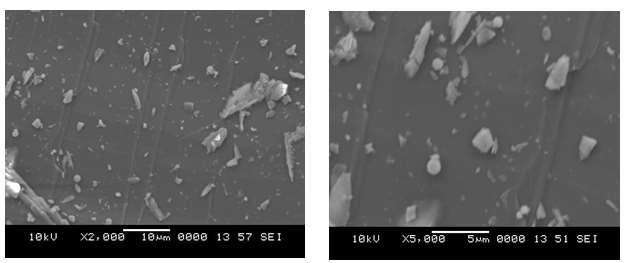 powder under different magnification Cement The cement