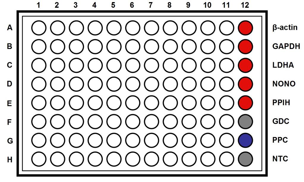 Figure 1. Layout of GeneQuery qpcr array kit controls. Table 2.