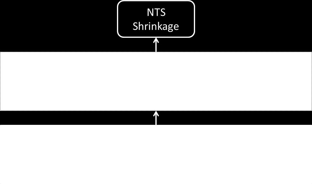 The shrinkage incentive target (specified in licence) for each year is based on parameters including forward procurement volumes and efficiency benchmarks.