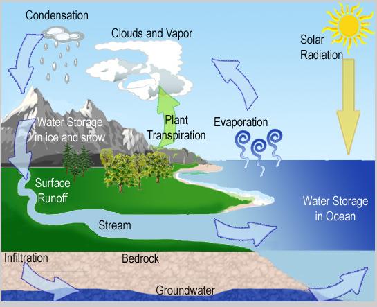 The 3 states of Water in the Water Cycle: evaporation, condensation, precipitation, transpiration, groundwater, runoff melting: solid to liquid condensation: gas to liquid Sublimation: solid to gas