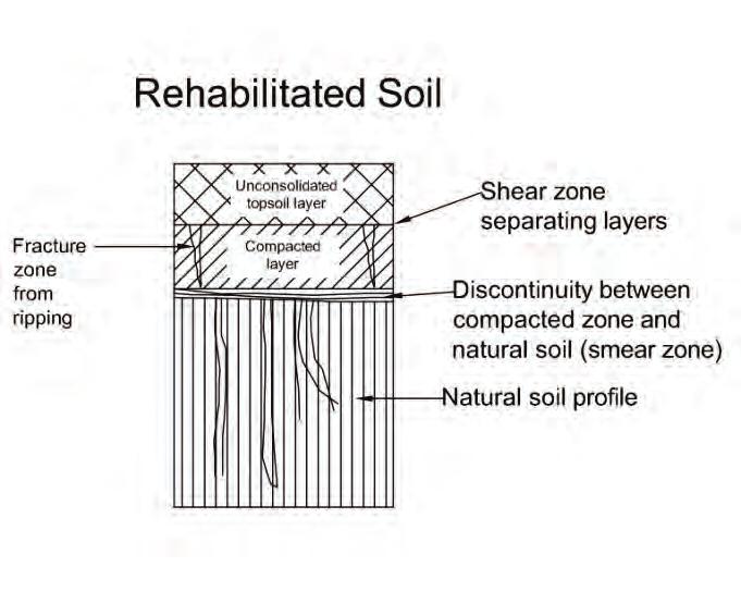 However, the rehabilitation of the disturbed or degraded soil profile needs to re-establish the micro and macro-pore connections between the layers.