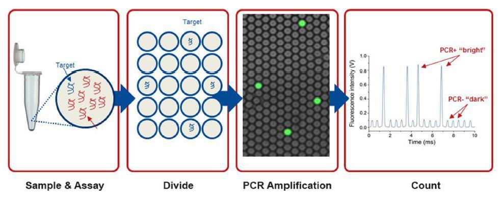 Digital PCR (dpcr): Precise Quantification of Nucleic Acids Figure: http://www.idtdna.