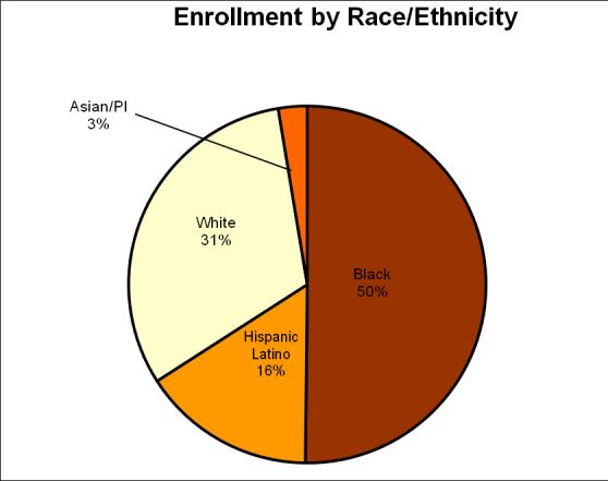 Enrollment by Ethnicity Data