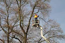 FOUNDATION CERTIFICATE IN Arboriculture (Level 2) duration: 10 Weeks Level: 2 40 credits INTAKE: Start dates by arrangement This