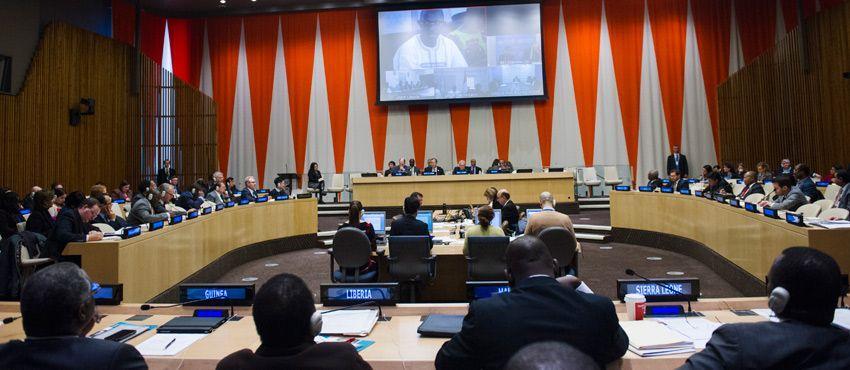Relevant ECOSOC resolutions for the United Nations