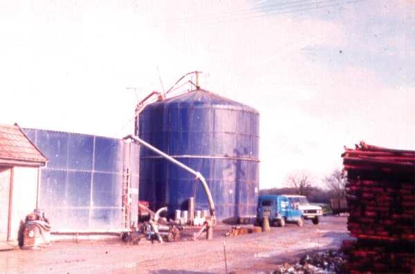 Digester on Cattle &