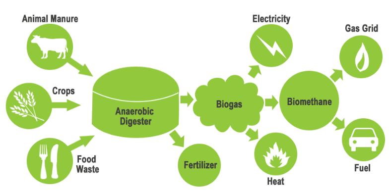 What is Biogas Biogas is a renewable source of energy that belongs to the category of biofuels.