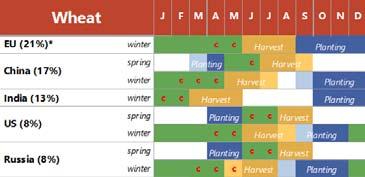 Market outlook Crop Monitor - Wheat (as of late April