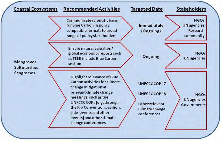Blue Carbon Policy Framework and project-level activities including conservation, restoration and sustainable use of natural systems such as forests and peatlands.