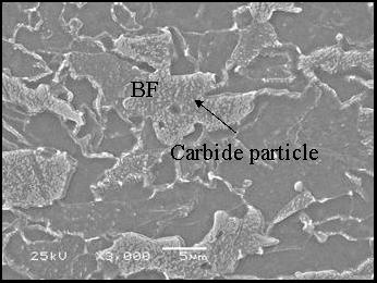 BF was defined as second phase including a lot of carbide particles and having hardness of over 260 Hv. Also, base metal includes martensite austenite (M/A) having hardness over 300 Hv.