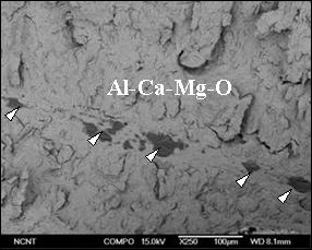 9(c), 9(d) and 9(e) show that the cracks nucleated at oxide inclusions including Fe-Mn-Si-Ca oxide and propagated following ferrite grain boundaries nearby bonding line like HIC of weld joint.