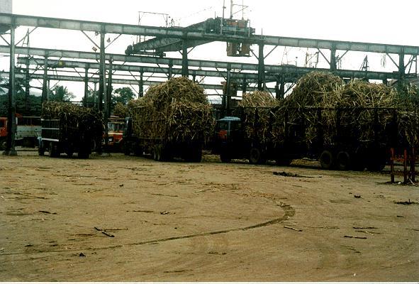 3 Sugar mills Bagasse-based cogeneration Up to 10 years ago, low efficiency cogen plants with low pressure boilers and inefficient turbines Limited sales of electricity to the grid Seasonal operation