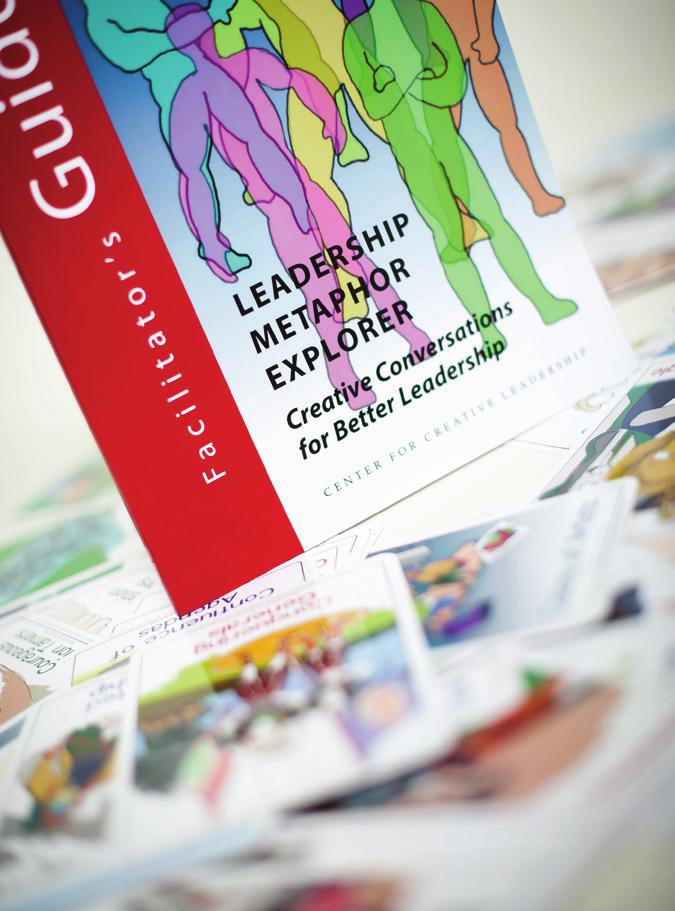 facilitate the leadership development process in individual, teams and organizations.