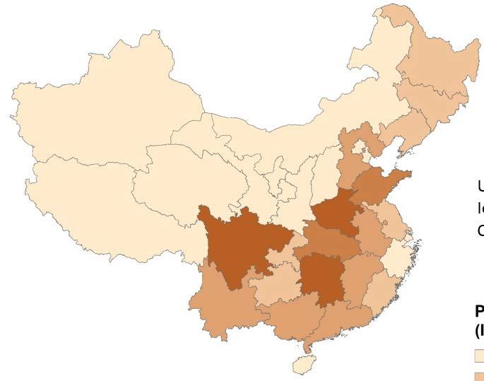 China Pork 2016 Production