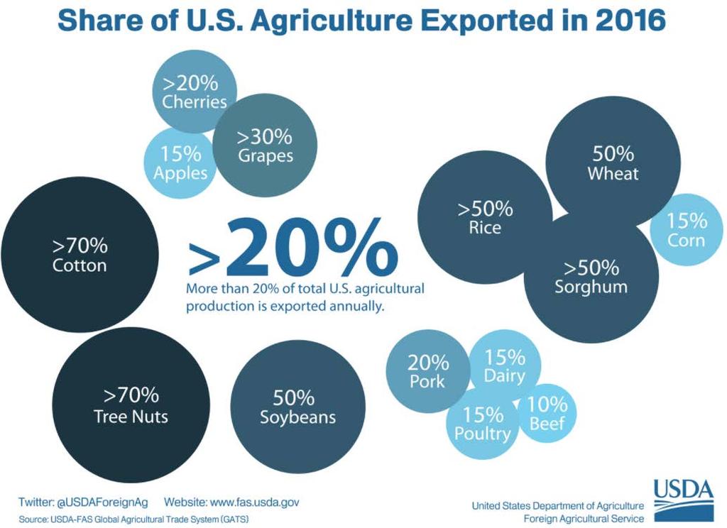 Share of China in US Ag Exports