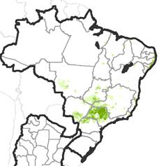 Brazil 2014/2015 growing season Sugarcane Semi-perennial, harvested in May-July Hot and
