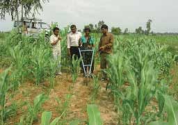 E) Farmers experience with power weeders Many farmers felt that the power weeders were very useful in the present conditions of labour and bullock power shortage, where it equally essential that