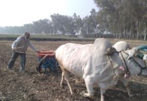 by applying the chemical at the time of sowing Field capacity of the developed system is 0.4 ha/h with an operating cost Rs 1,350/- per ha saving 40-50% herbicide.