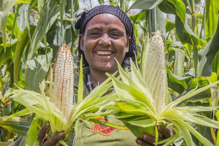 BUILDING RESILIENCE THE SMART WAY Extreme weather, such as droughts and floods, can be catastrophic for smallholder farmers.