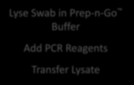Prep-n-Go Buffer Add PCR Reagents