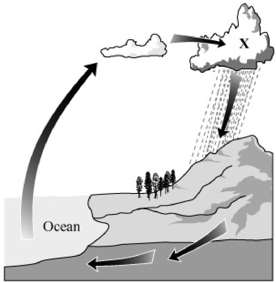 13. The picture below shows the water cycle. 15. In a city near the ocean, fog often forms on summer mornings. Which of the following statements best explains how this fog forms?