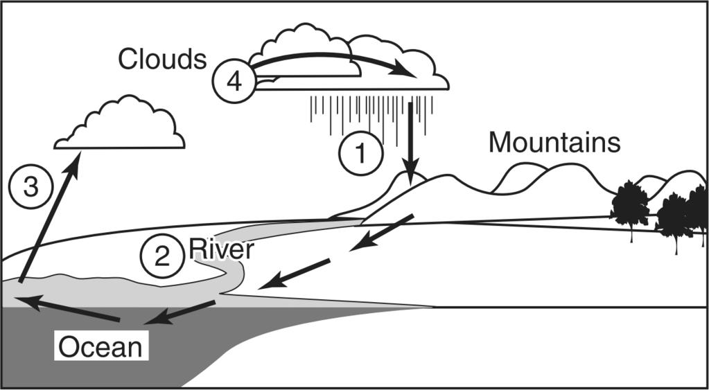 19. Use the information below to answer the following question(s). The diagram below shows water moving through the environment. 23.