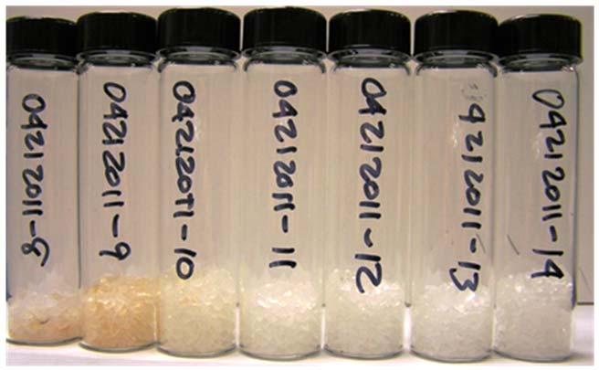 Pulled samples of the adsorbent at the end of testing.