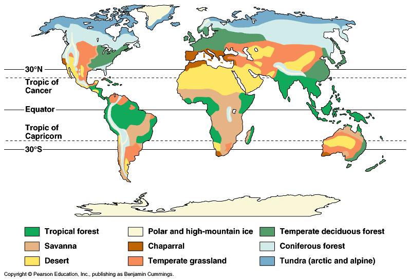 Terrestrial biomes Tropical forests~ equator; most complex; constant temperature and rainfall; canopy Savanna~ tropical grassland with scattered trees; occasional fire and drought; large herbivores