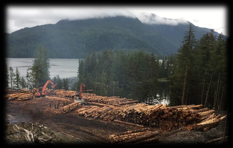 Forestry in the Last Frontier: A Forest Products Industry Perspective in Alaska
