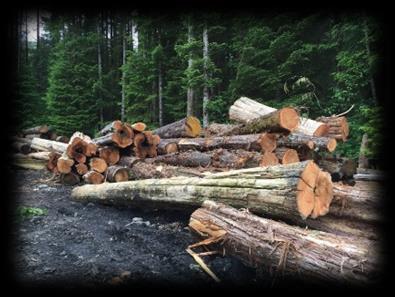Timber Receipts & Flow Alaskan facilities