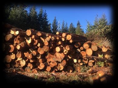 4 MMBF All timber originated in Alaska 54% came