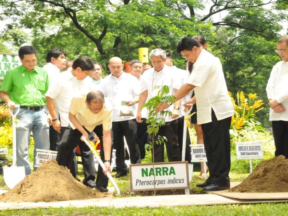 President Aquino Planting a Narra Tree during the