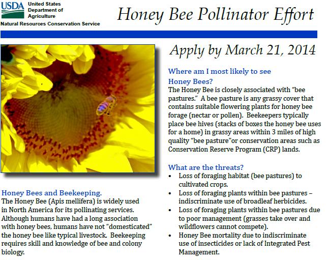 Honey Bee Forage Issues & Opportunities Forage for CA raised and out-of-state