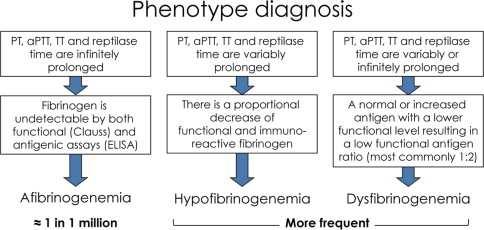 Laboratory diagnosis of congenital fibrinogen deficiencies