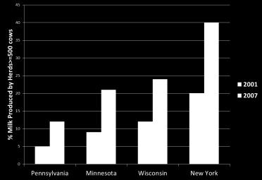 The incremental change, as shown in Figure 1.9, in the proportion of milk sales from herds of 500+ cows has increased dramatically in New York, followed by Minnesota and Wisconsin.