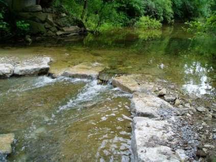 Nolensville, Tennessee (after one growing season) Upstream Pool