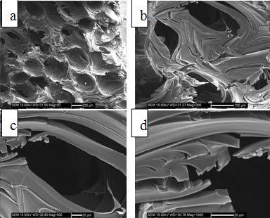 Fig.5 SEM images of graphitized foam of CF-4 Fig.6 SEM images of graphitized foam of CF-5 (0.73 g/cm 3 ) prepared from precursor B (0.