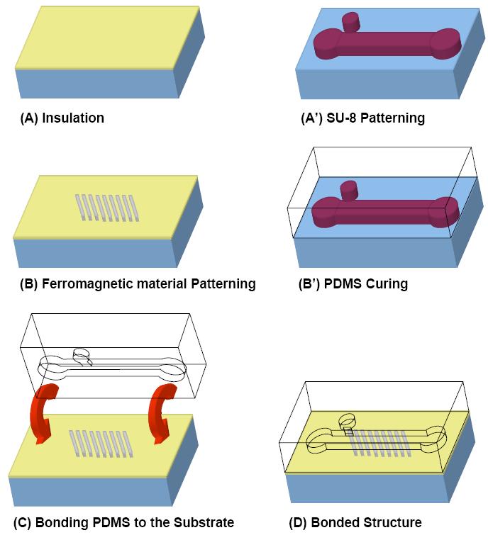 Example: PDMS Microfluidic