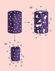 Erodible Matrices or Micro/Nanospheres (a)