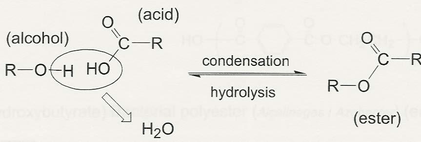an alcohol Inverse of reaction to condensation is hydrolysis (remember