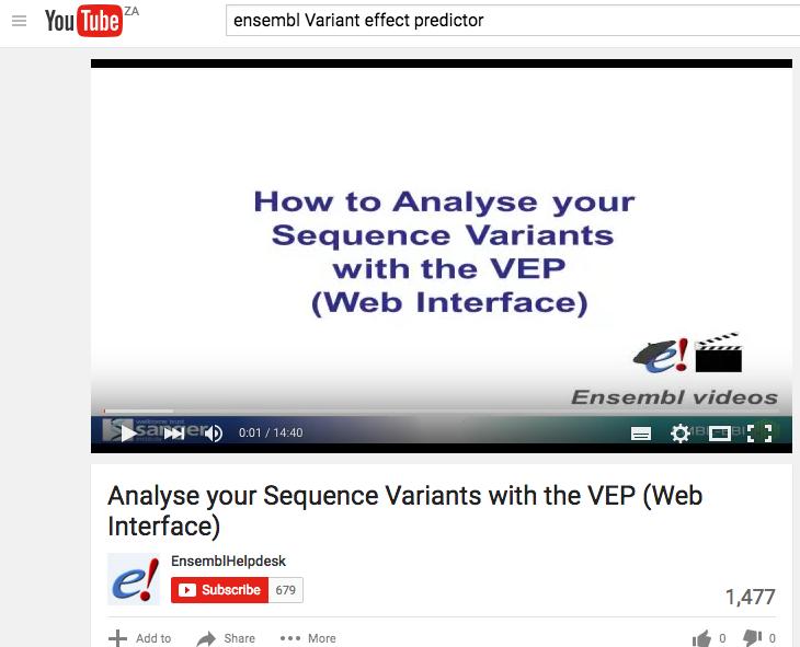 Annotation Ensemble VEP: Easy to use