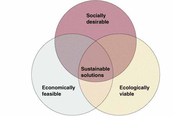 Sustainability a. Economist's definition: Will growth be sustained? Is the process efficient? Are resources being wasted? b. Ecologist's definition: Is the ecosystem sustainable?