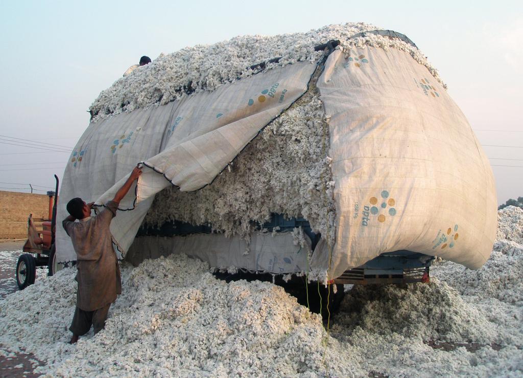 IMPACT SHEET SWITCH-ASIA PROJECT SUSTAINABLE COTTON PRODUCTION IN PAKISTAN S COTTON GINNING SMES (SPRING) Developing a sustainable cotton supply chain in Pakistan The project improved resource