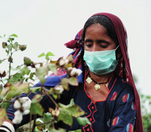 Besides exploring choices for sourcing the cotton sustainably, responsible businesses are looking to improve cotton-sourcing procedures through more traceability, control and transparency in their