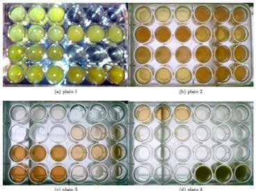 Identification of potential wastewater streams and cultivation systems To reach these goals, representative industrial and mixed municipal/industrial wastewaters for microalgae treatment were