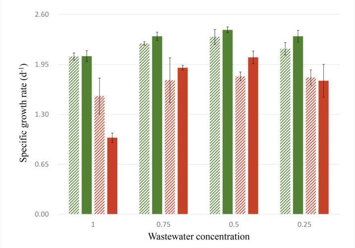 Figure 2. Specific growth rates at different dilutions of wastewater (Green: C.sorokiniana, Red: S.
