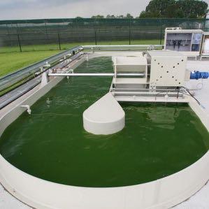 Most wastewater treatment lagoons in the U.S.