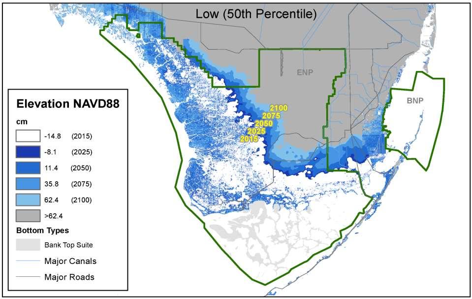 Everglades Inundation with 0.6 m sea-level rise by 2100 median RCP 8.