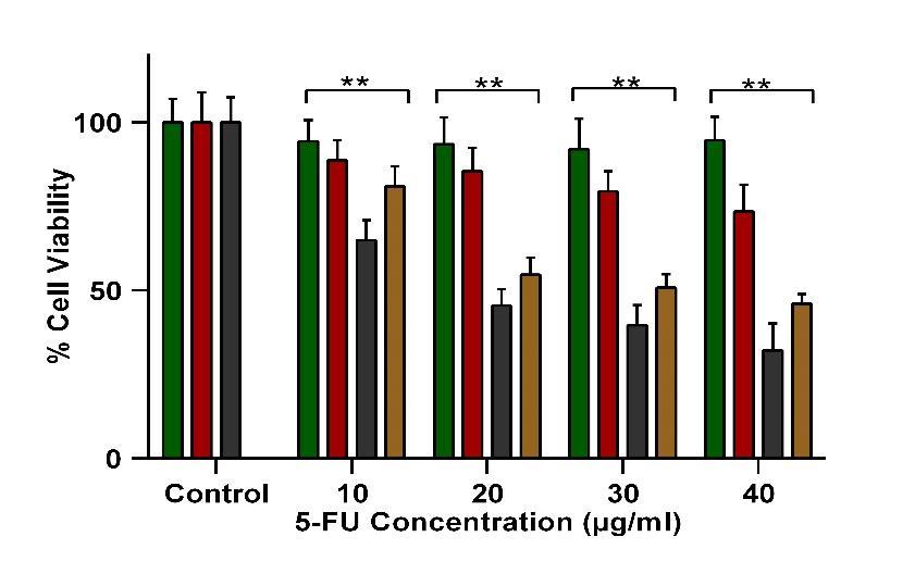 The half maximal inhibitory (IC 50 ) values for FA-CS-GNP-5-FU on MCF-7 cells was 20 µg/ml while free 5-FU at an identical dose resulted in < 30 % cell death.